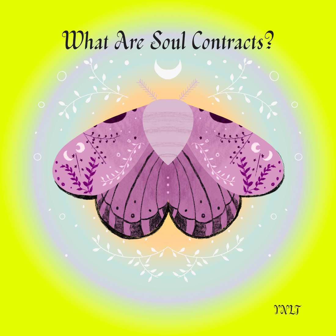 What Are Soul Contracts?
