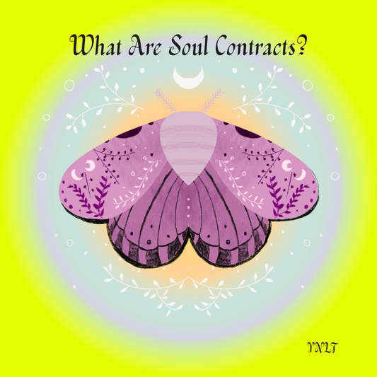 What Are Soul Contracts?